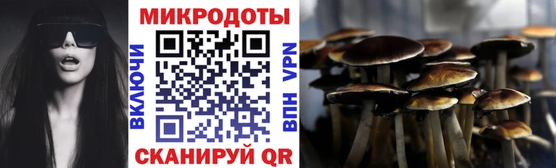Галлюциногенные грибы Psilocybine cubensis  мега рабочий сайт  Зеленогорск 