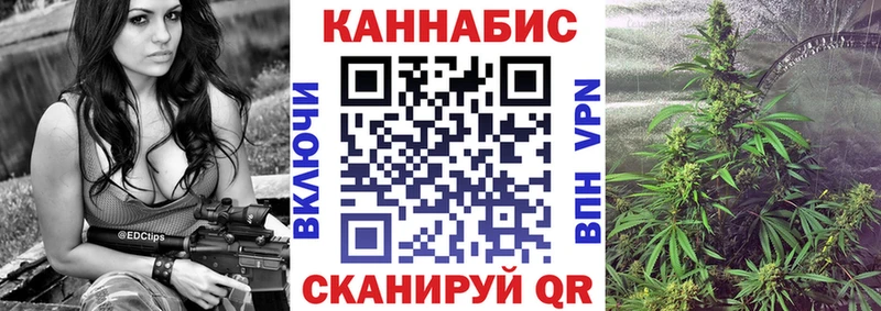 где купить наркоту  Зеленогорск  МАРИХУАНА White Widow 
